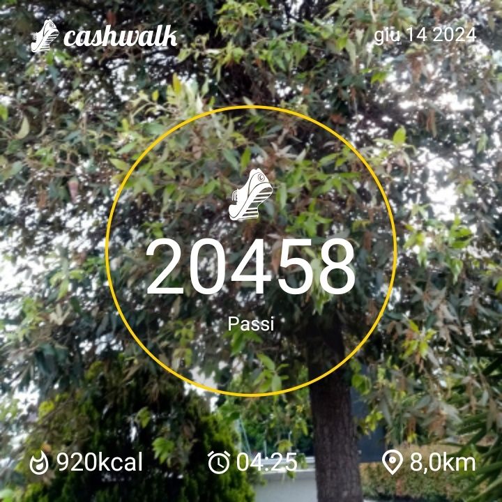 CashWalk_share_capture_20240614_7bd6f2c9-2884-45fb-a623-6362b28c