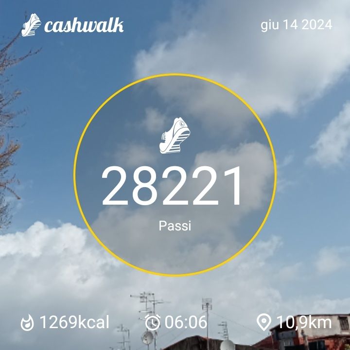 CashWalk_share_capture_20240614_f5794450-b6e9-49ef-ab3a-aa100026