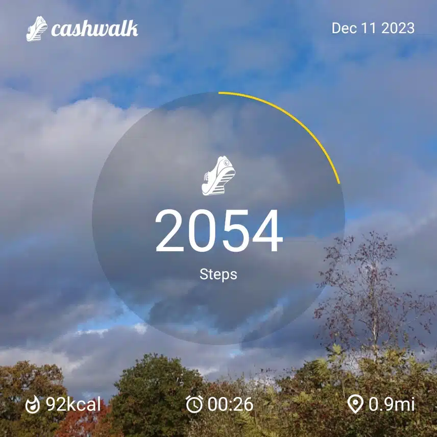 CashWalk_share_capture_20231211_ef680c48-64a7-4cf1-a6fd-fd58607e