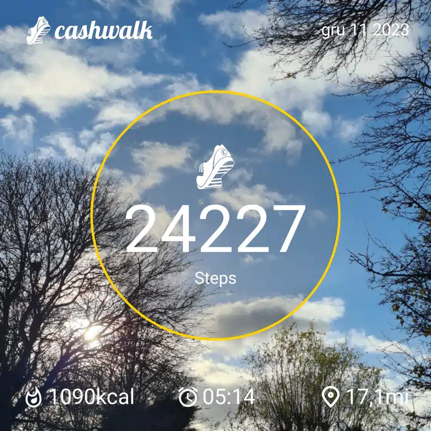 CashWalk_share_capture_20231211_4a2cc6d9-603c-4b83-b737-169f7681