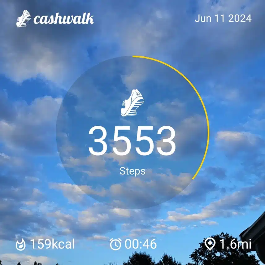 1000006411.jpg_resize