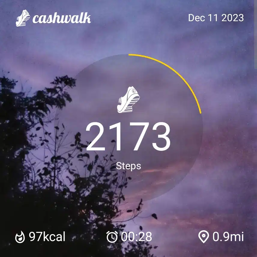 CashWalk_share_capture_20231211_68d3f6fb-b93f-45d7-9af9-cb804804