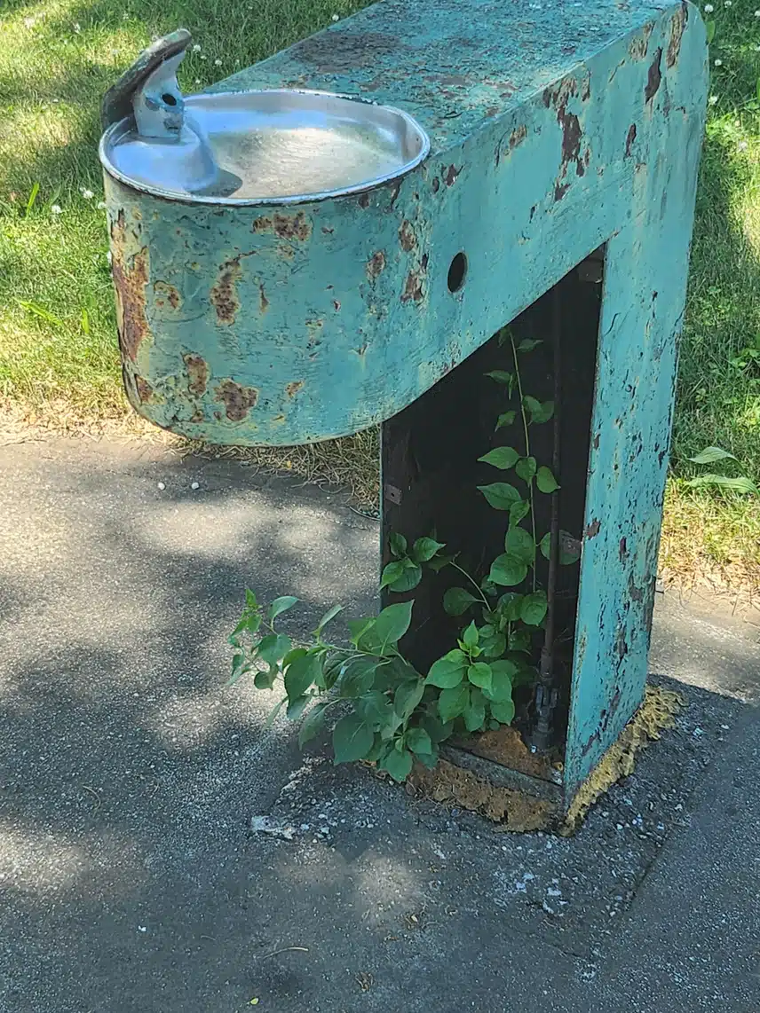 1000001955.jpg_resize