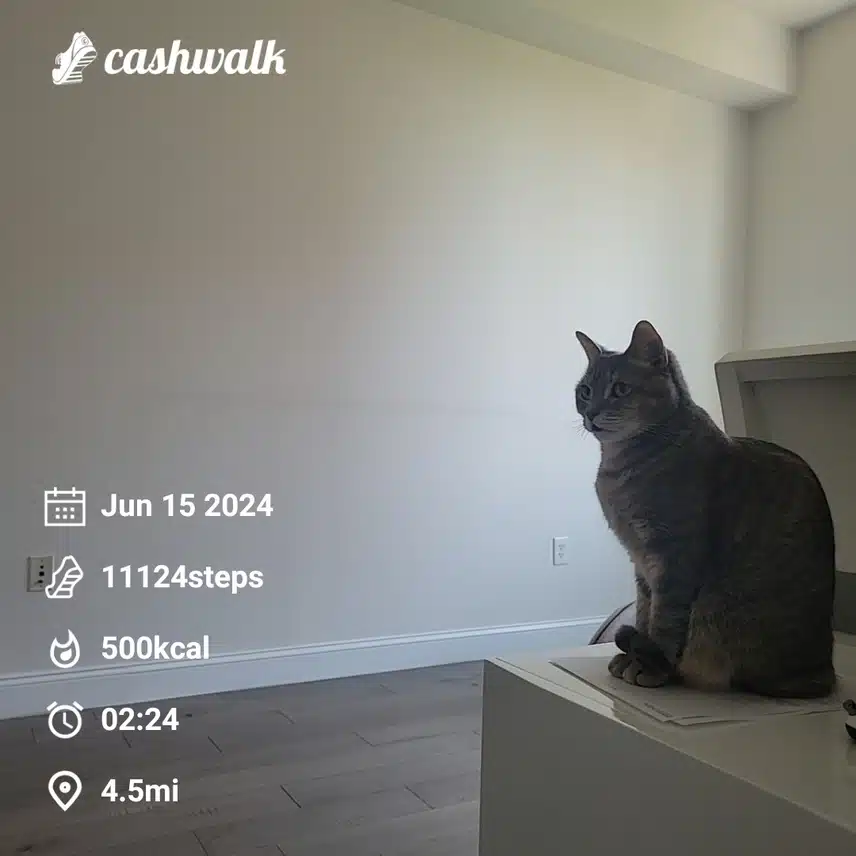 CashWalk_share_capture_20240615_a0762696-9070-4e55-94aa-dd4fa0f4