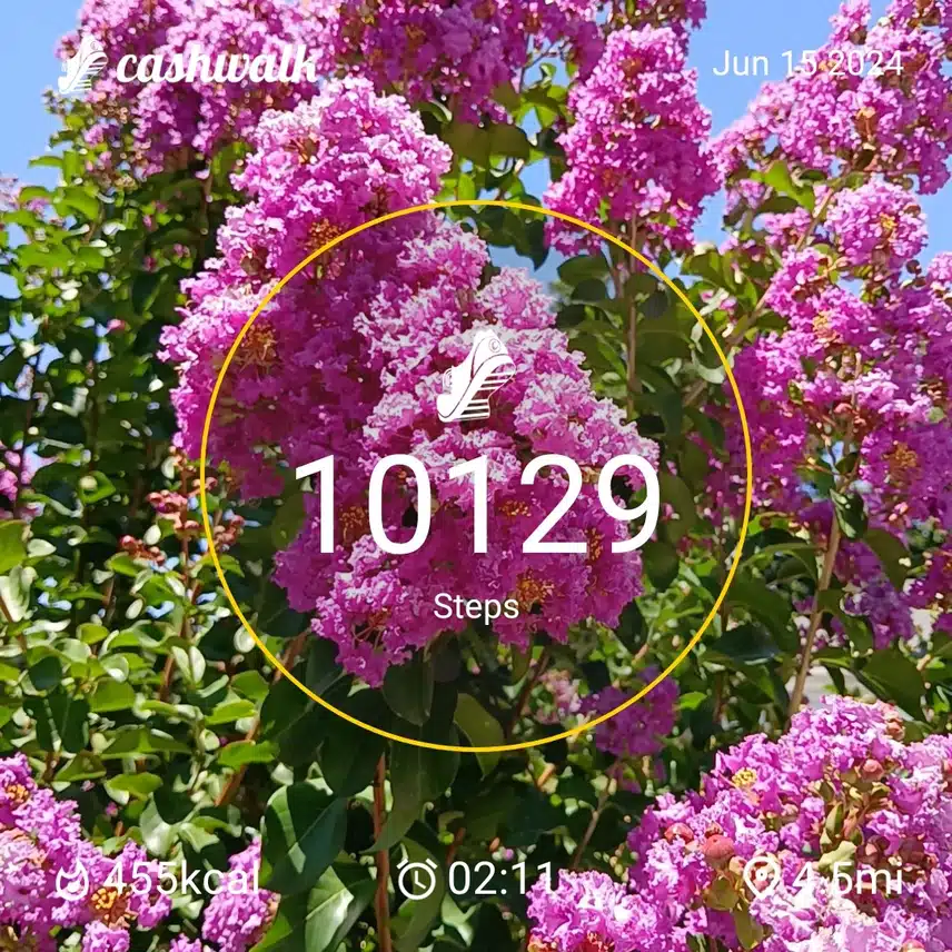 1000004553.jpg_resize