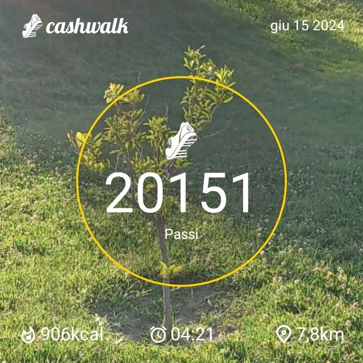 CashWalk_share_capture_20240615_cc7dc228-f0ba-4197-b860-1464fb36