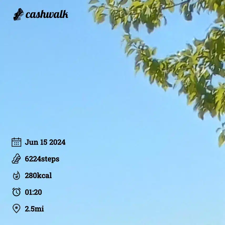 CashWalk_share_capture_20240615_b5c0e6ab-f2d2-48c7-8b68-1ce443a0