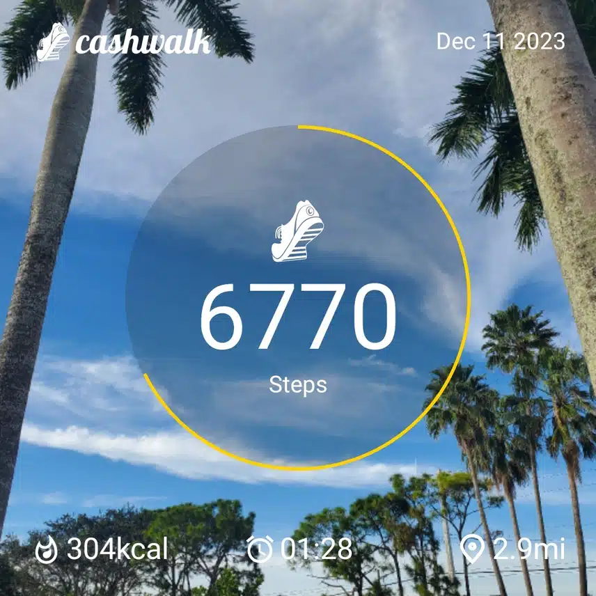 CashWalk_share_capture_20231211_03574286-6f4d-4731-9986-7f53696f