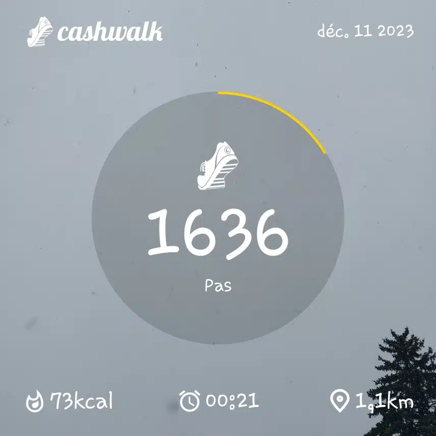 CashWalk_share_capture_20231211_3326a19f-f2ba-4ea6-acc0-6f4bc2da