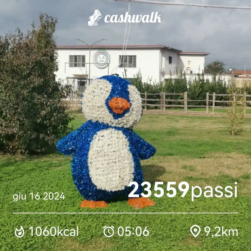 CashWalk_share_capture_20240616_f4e1482d-d925-4776-9036-c32f3a34