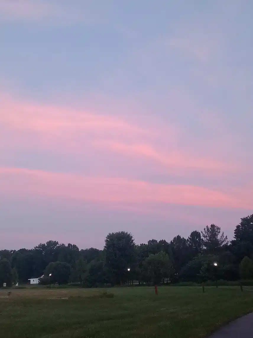 1000001849.jpg_resize