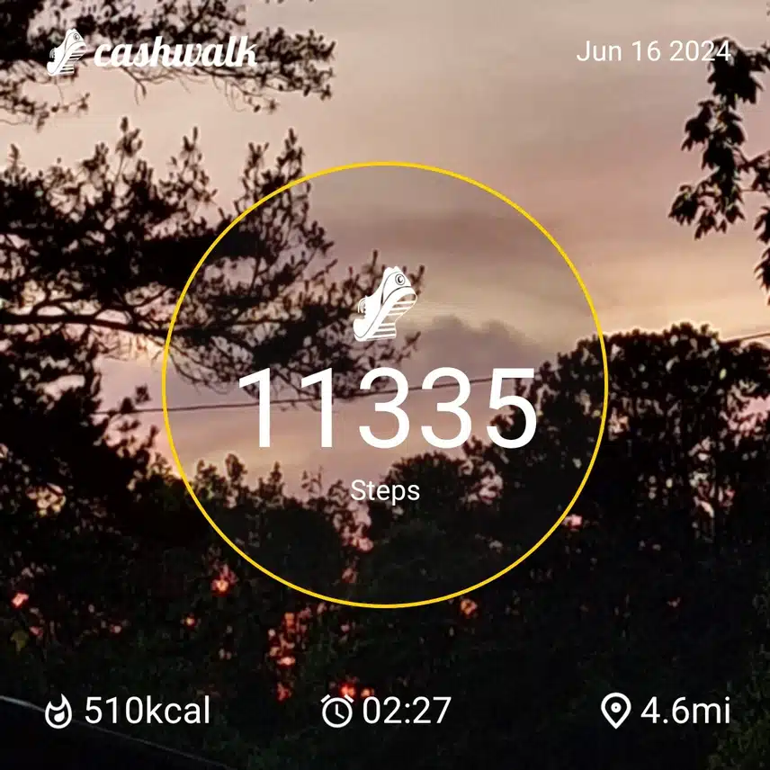 1000011208.jpg_resize