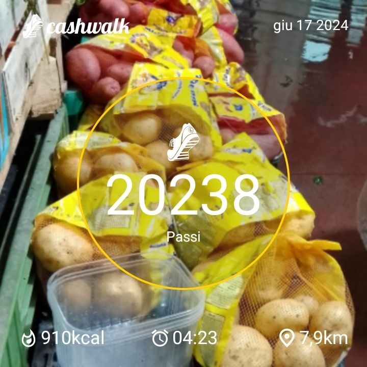CashWalk_share_capture_20240617_fdc5f5a3-27e2-4c76-8d4d-5da309d8