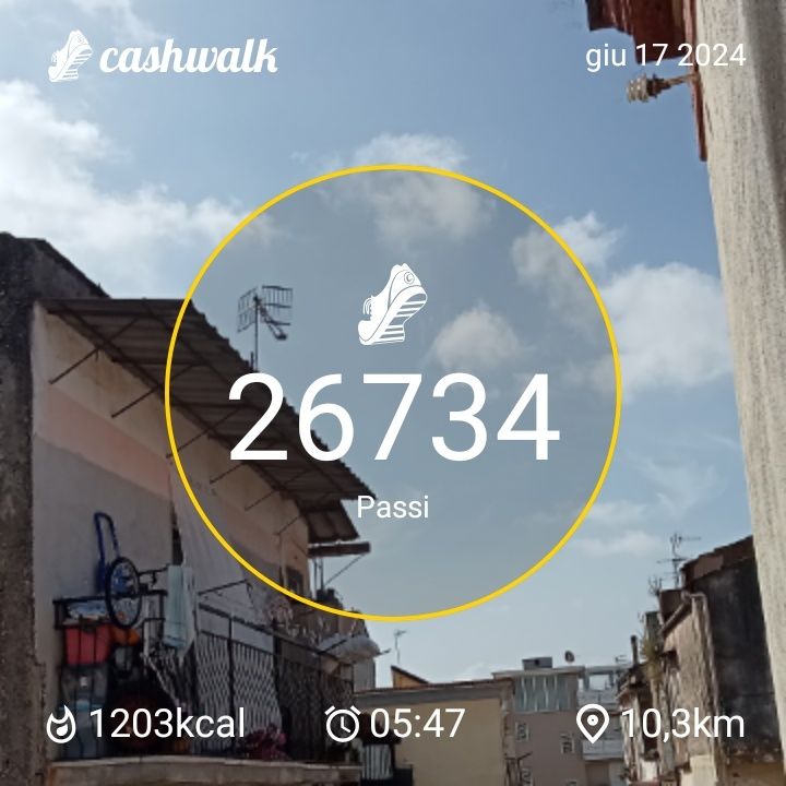 CashWalk_share_capture_20240617_1a03e5ba-3acf-4032-8233-36c4d4f3