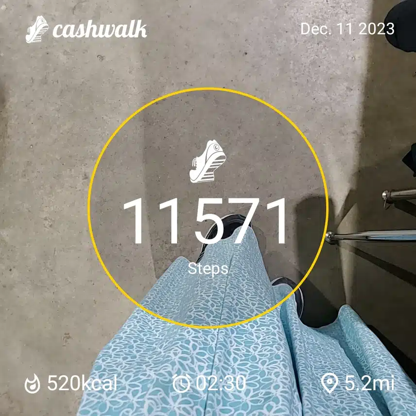 CashWalk_share_capture_20231211_d8e43733-3aa2-4907-85c8-b0e4bcb1