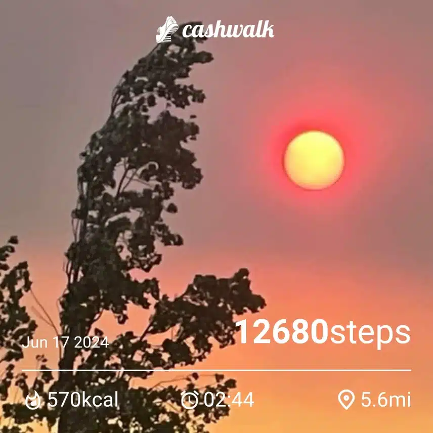 CashWalk_share_capture_20240617_18282f5b-4858-47f8-92c4-b39b4116