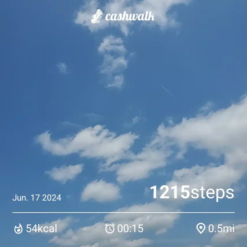CashWalk_share_capture_20240617_cc645c7e-d9ac-4eb4-bd4d-d0d675b6