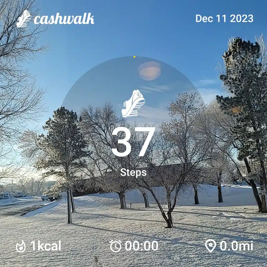 1000023053.jpg_resize