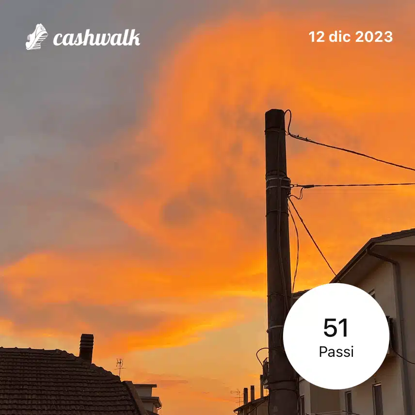 Immagine PNG 46.png_resize