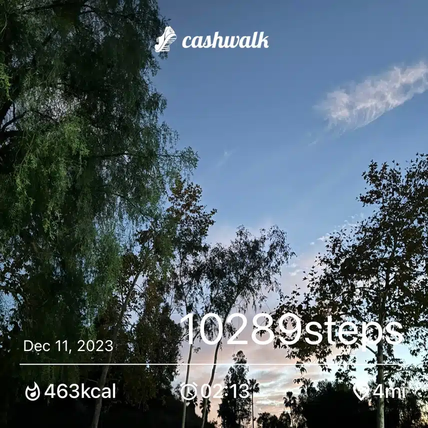 IMG_1351.jpeg_resize