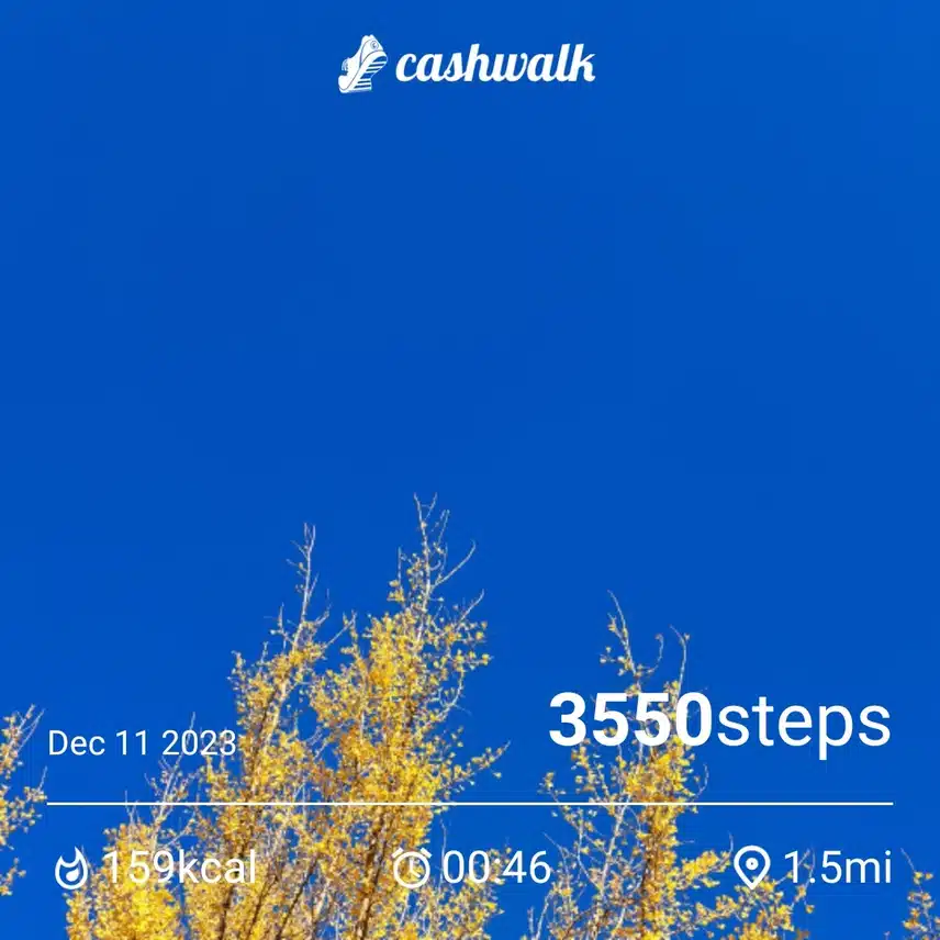 1000004506.jpg_resize