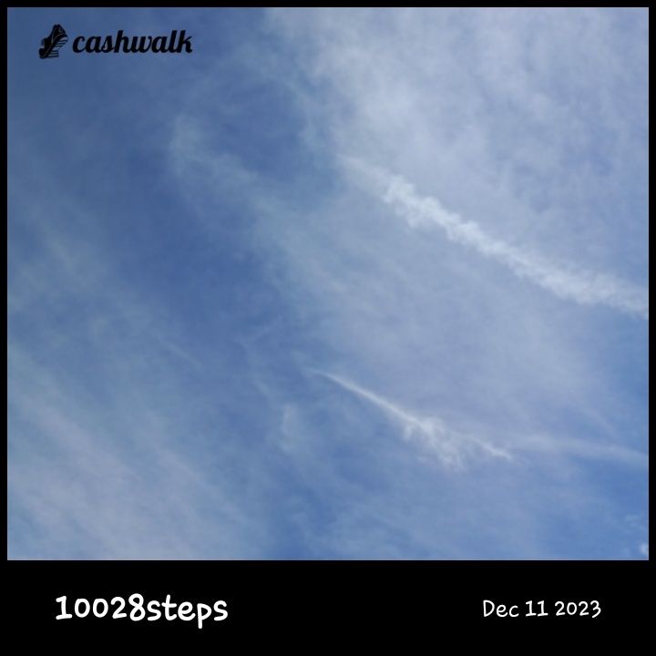 CashWalk_share_capture_20231211_9c35ee95-9394-437b-9b61-ca59d11b