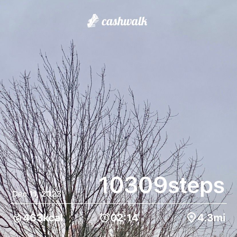 IMG_7263.jpeg_resize