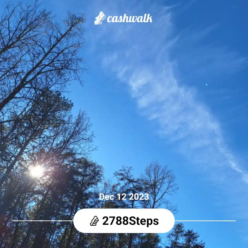 inbound8273943250782833436.jpg_resize