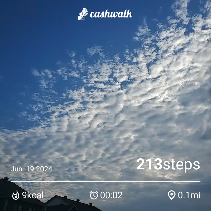 CashWalk_share_capture_20240619_36ef8028-bee5-4a17-a9cf-04a5b479
