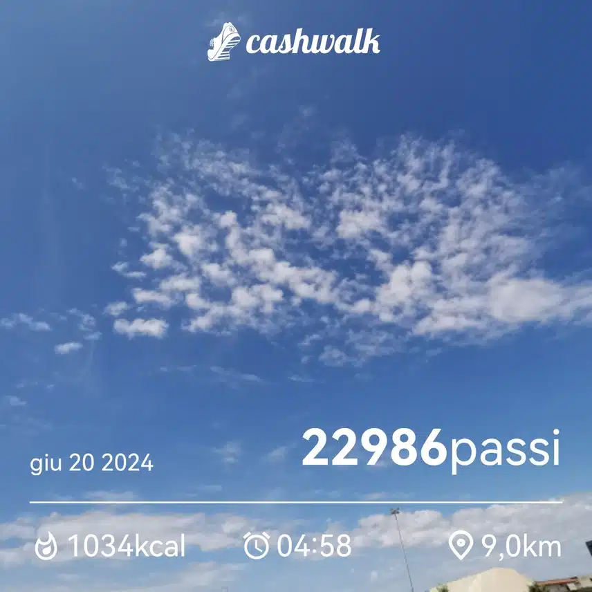 CashWalk_share_capture_20240620_21556174-58be-4923-8d4d-37214507