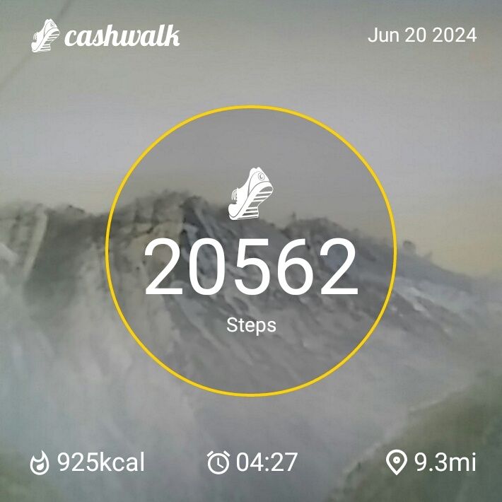 CashWalk_share_capture_20240620_9c2a0d1f-ce7f-4e7e-aad9-3de429e9