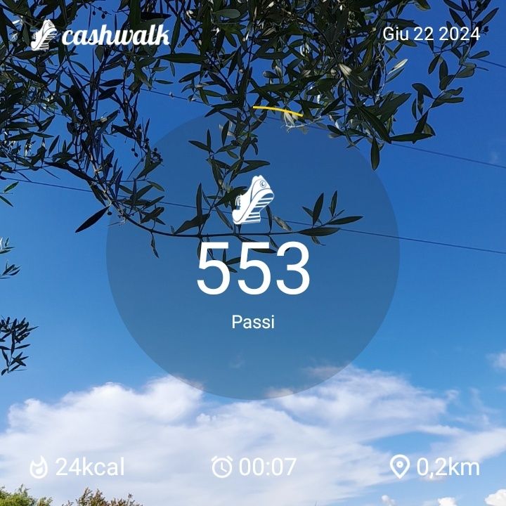 1000040901.jpg_resize