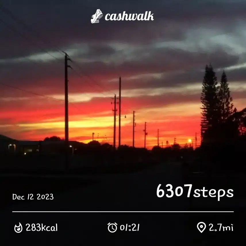 CashWalk_share_capture_20231212_43281de4-3880-4090-bb3e-4bfeb414