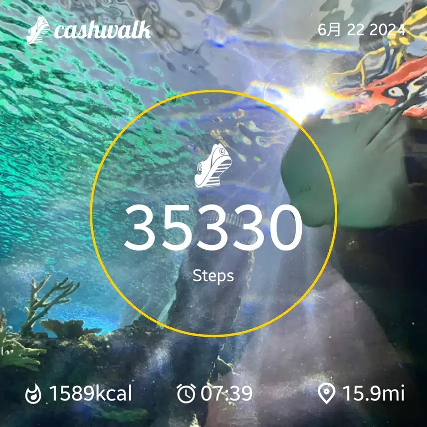 CashWalk_share_capture_20240622_b9794d15-019f-4ac5-94d9-c5a24bc3