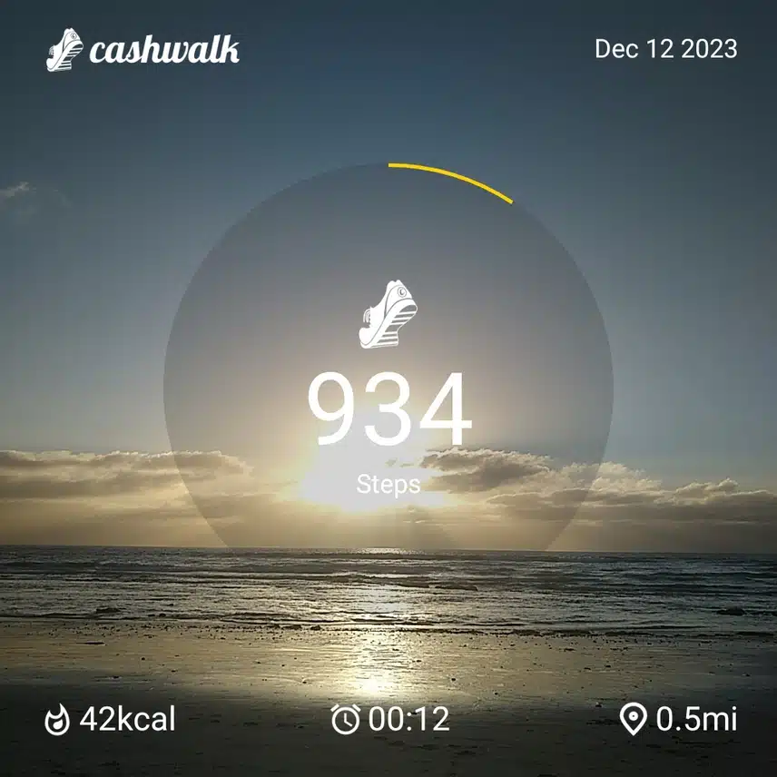 CashWalk_share_capture_20231212_696df52f-49fb-481f-98ea-10740cf3