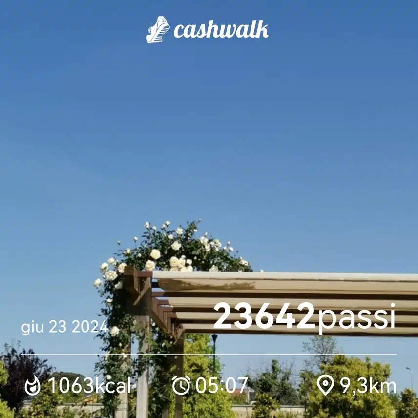 CashWalk_share_capture_20240623_094bd5f5-a896-4550-ac5a-ce6d9a88