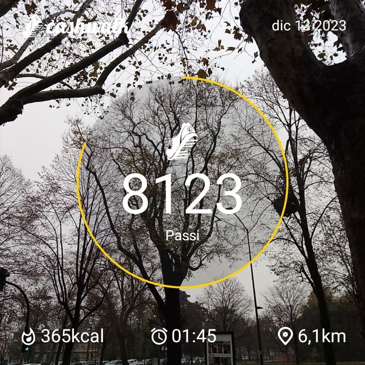 CashWalk_share_capture_20231213_e22e5240-0b77-46d3-9bef-7c535ef4