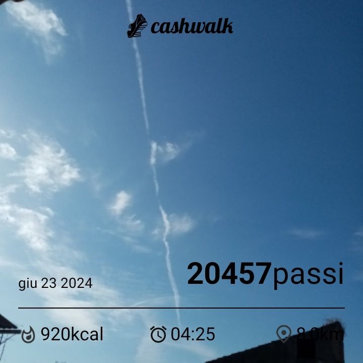 CashWalk_share_capture_20240623_0c3f67b4-f90f-466b-830f-a39375a2