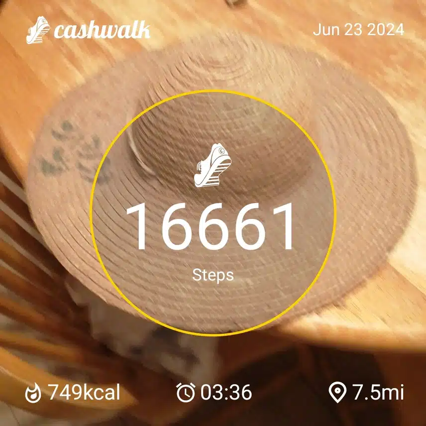CashWalk_share_capture_20240623_586a2337-89e6-4826-8fa5-e3acc571