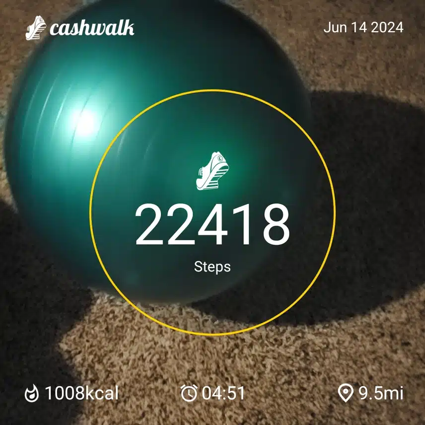 CashWalk_share_capture_20240614_bc11d58e-cf4f-46cb-9738-a85111bd