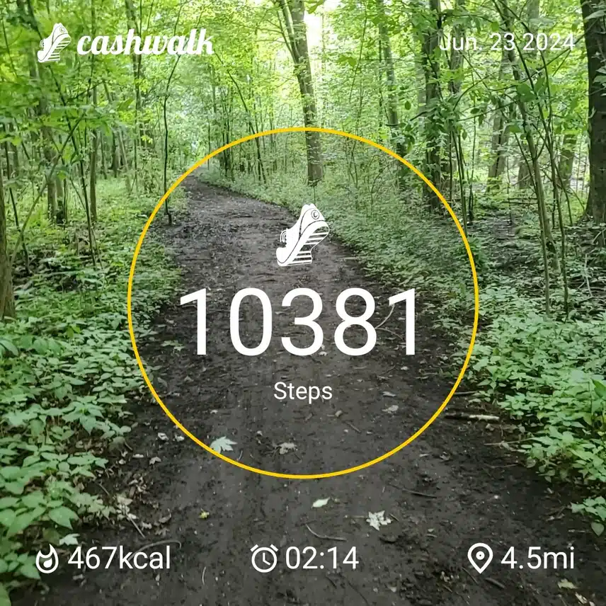 CashWalk_share_capture_20240623_620e3a27-d52a-4111-b5fd-157e0be0