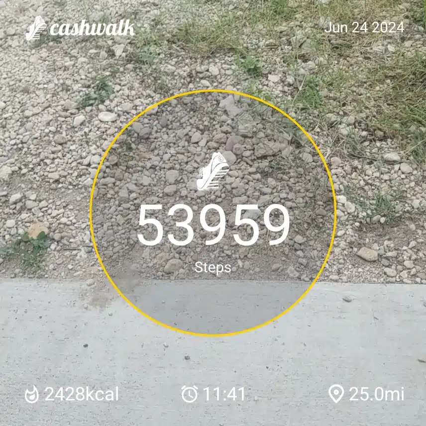 CashWalk_share_capture_20240624_1246f23c-7c5b-4480-9400-8f455e66