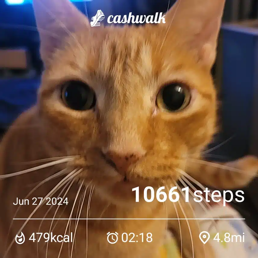 1000005940.jpg