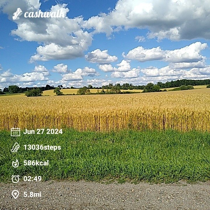 CashWalk_share_capture_20240627_7c404cd6-b3ed-4d86-a92a-9161ce62