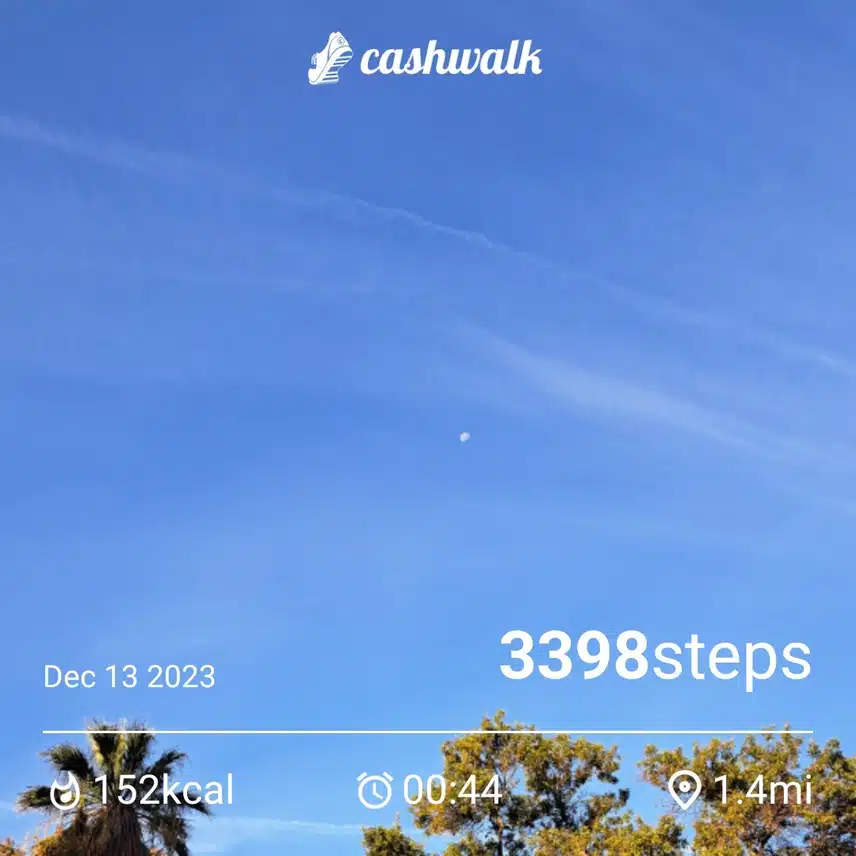 1000004513.jpg_resize