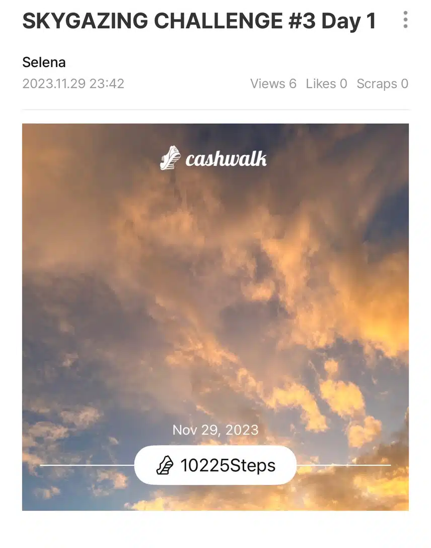 IMG_5999.jpeg_resize