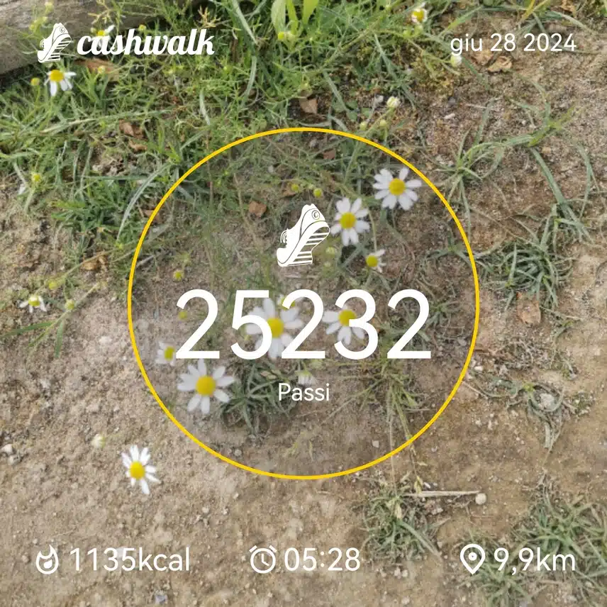 CashWalk_share_capture_20240628_e00f21eb-f790-44d8-b1e7-ffd4e576