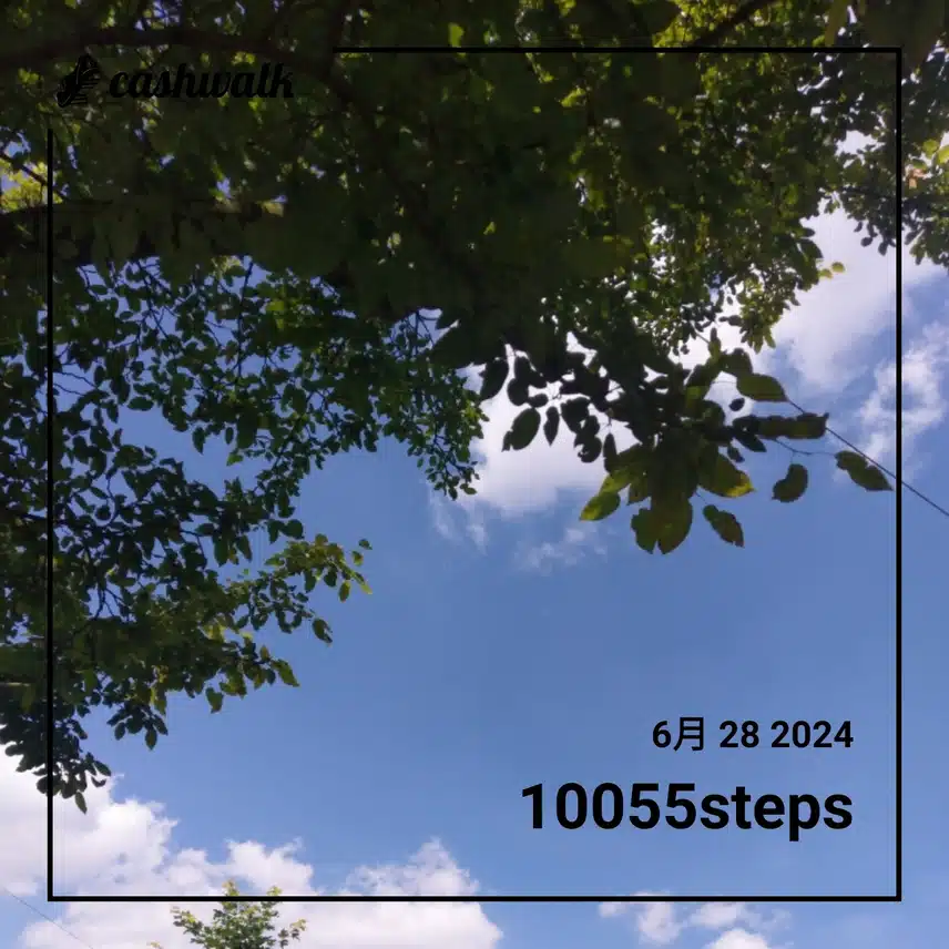 CashWalk_share_capture_20240628_c476894f-546a-4d22-a191-35fe8e3f