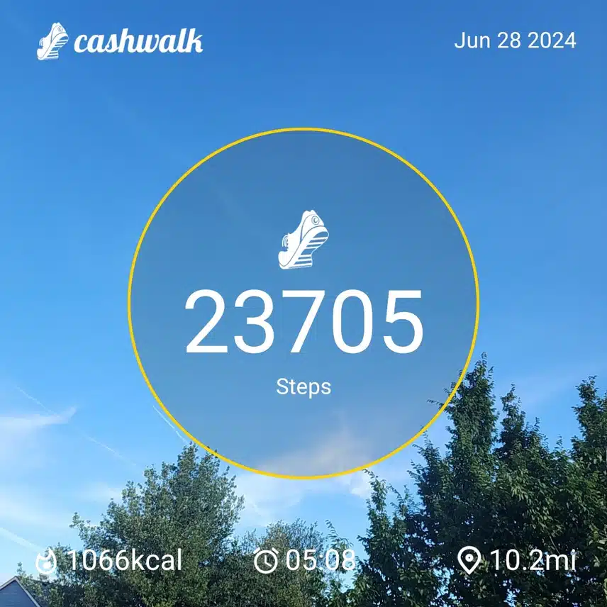 1000019804.jpg_resize