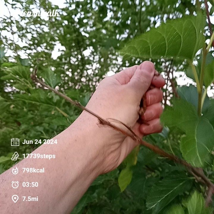 CashWalk_share_capture_20240624_e3b6f7b7-f9cd-4d7b-8468-b5af8911